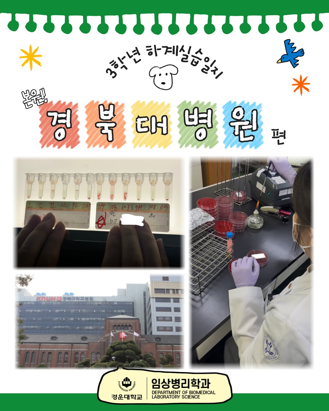 SNS 대표이미지