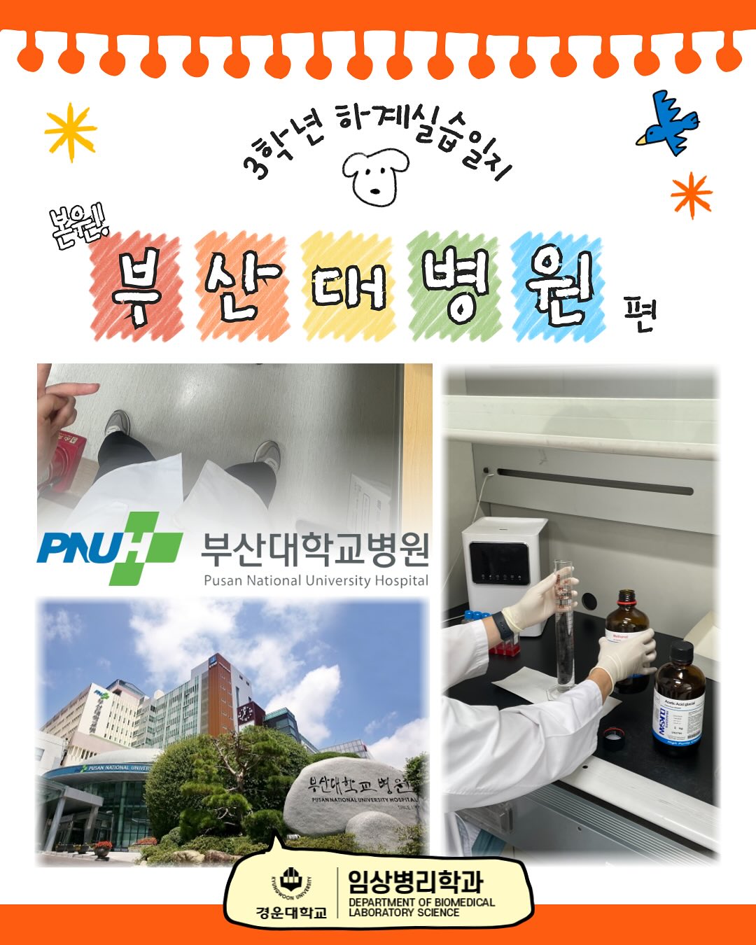 SNS 대표이미지