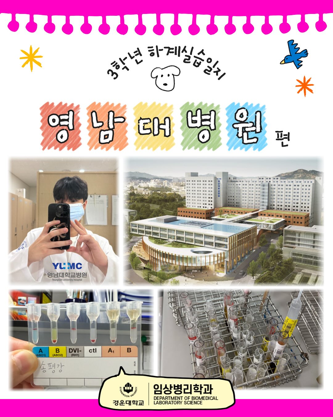 SNS 대표이미지