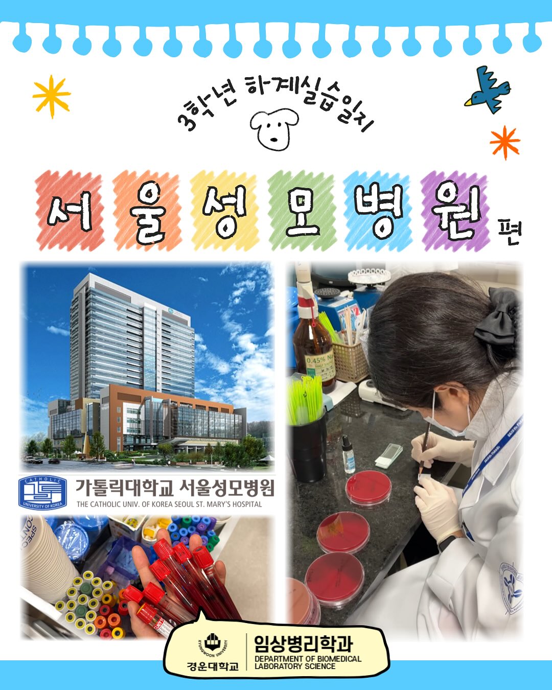SNS 대표이미지