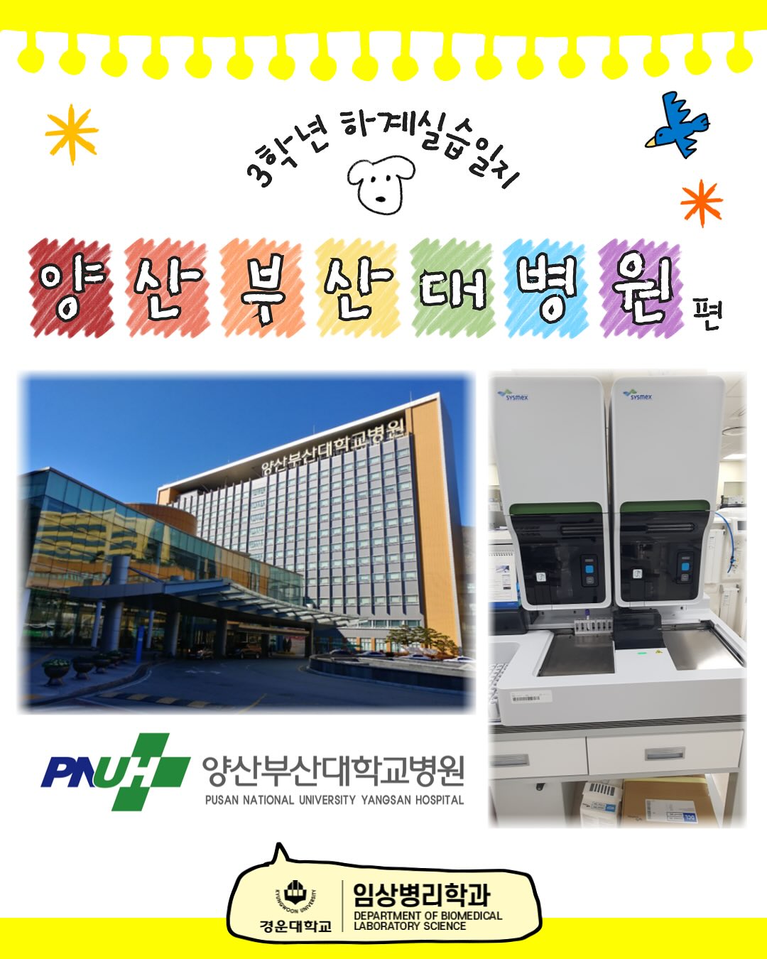 SNS 대표이미지